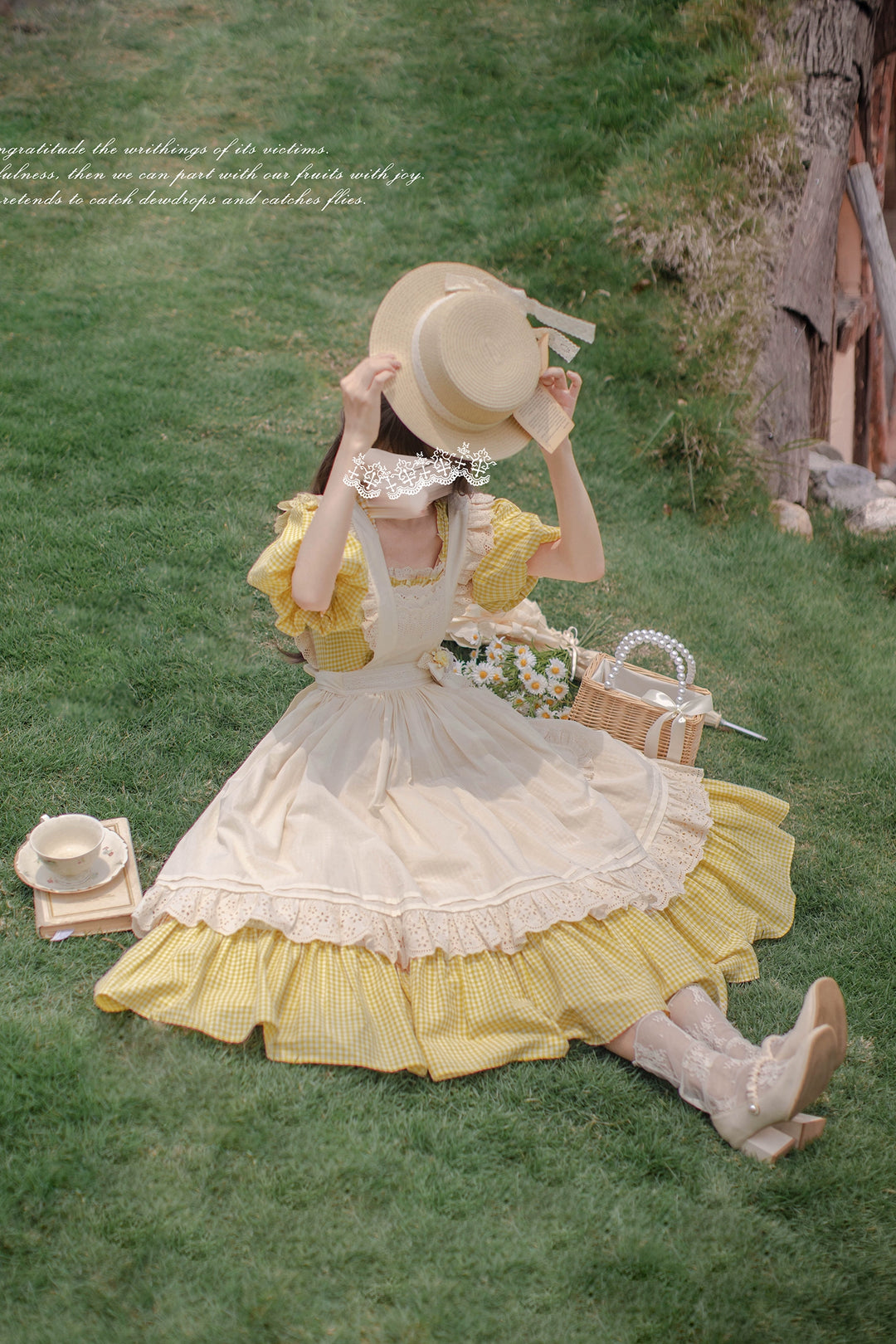 Country Lolita Dress Set Short/Long-Sleeved OP and Cotton Over-Skirt 42815:754229