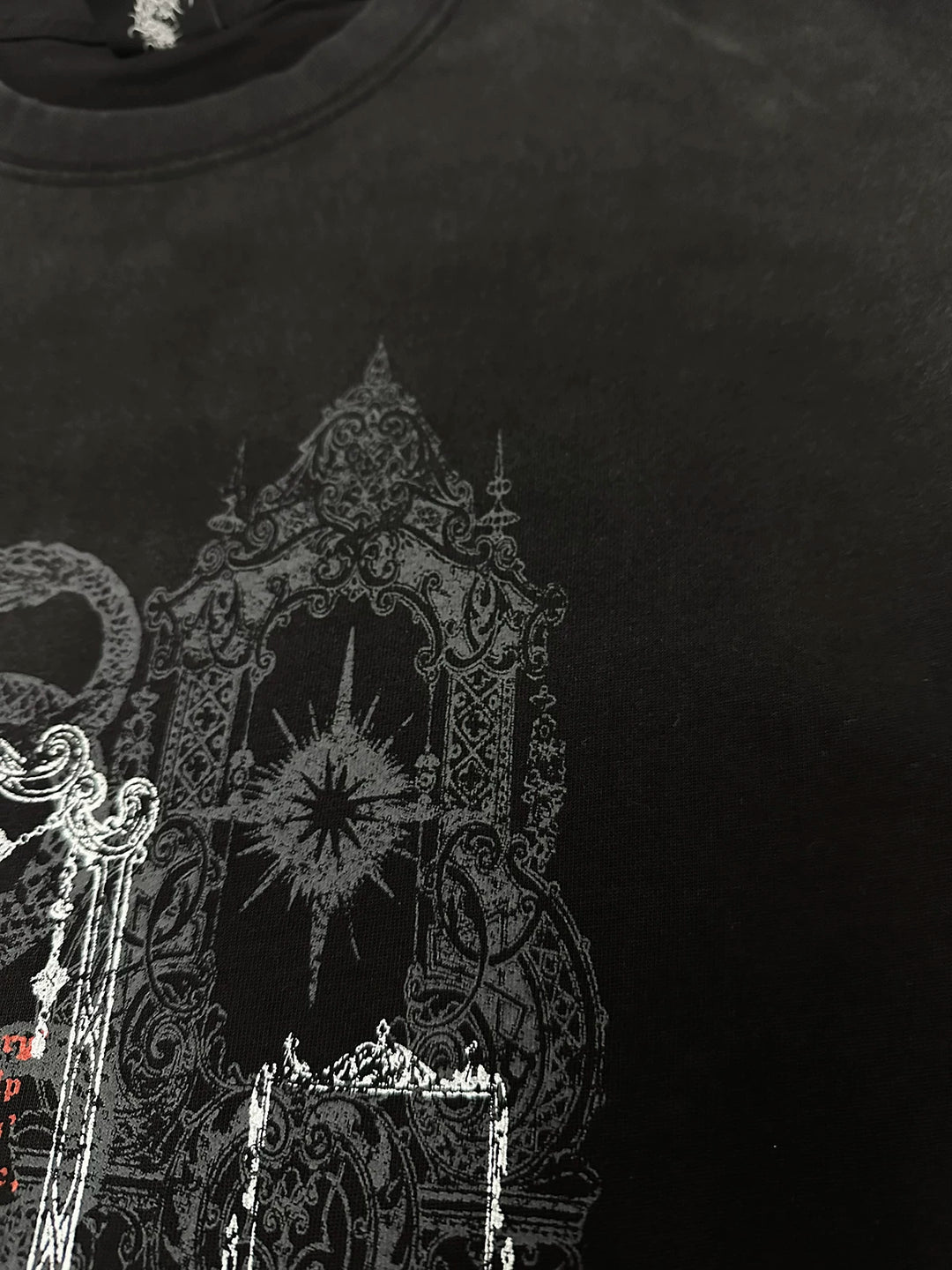 Cotton Subculture T-shirt, Snake & Mirror Frame Print 44778:830396